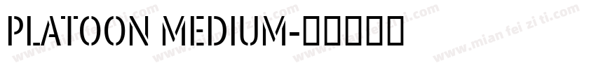 Platoon Medium字体转换